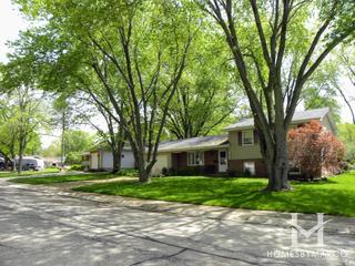 Janak subdivision in Algonquin, IL