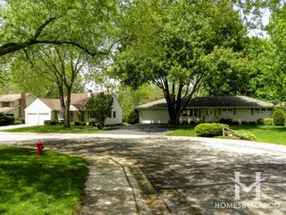 Janak subdivision in Algonquin, IL