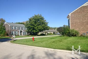 Chippendale subdivision in Barrington, IL