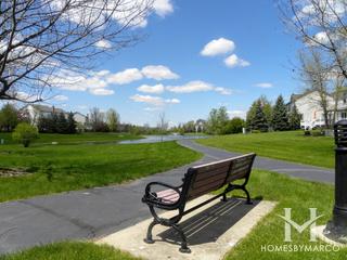 Manchester Lakes Estates subdivision in Algonquin, IL