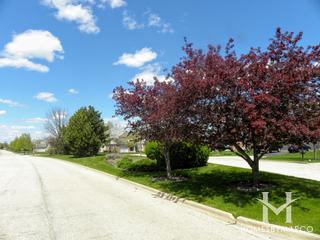 Manchester Lakes Estates subdivision in Algonquin, IL
