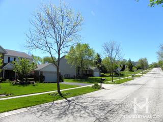 Royal Hill subdivision in Algonquin, IL