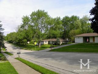Wecks subdivision in Algonquin, IL