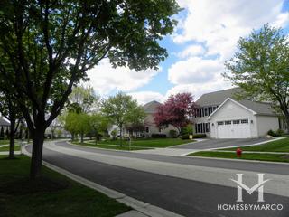 Willoughby Farms subdivision in Algonquin, IL