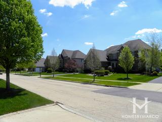 Stone Ridge Estates subdivision in Algonquin, IL