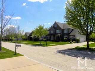 Stone Ridge Estates subdivision in Algonquin, IL