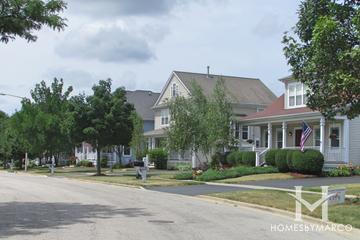 Dole Crossing subdivision in Crystal Lake, IL