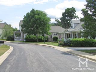 Dole Crossing subdivision in Crystal Lake, IL