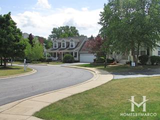 Dole Crossing subdivision in Crystal Lake, IL