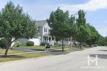 Dole Crossing subdivision in Crystal Lake, IL