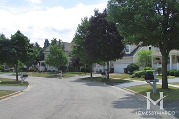 Dole Crossing subdivision in Crystal Lake, IL