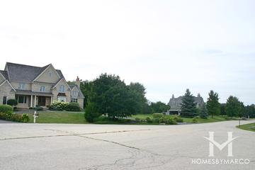Paradise Grove subdivision in Crystal Lake, IL