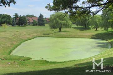 Prairie Ridge subdivision in Crystal Lake, IL