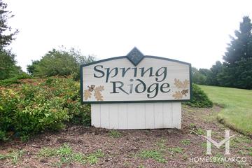 Photos of Spring Ridge subdivision in Crystal Lake, IL