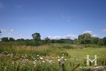 Squaw Creek subdivision in Crystal Lake, IL