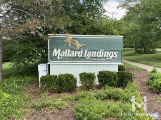 Mallard Landings