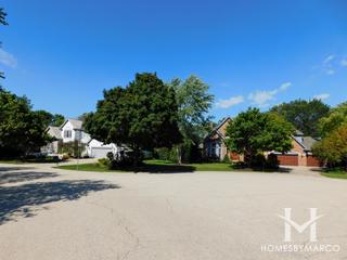 Lakeview subdivision in Barrington, IL
