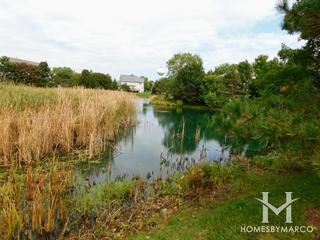 Oaks of Barrington subdivision in Barrington, IL