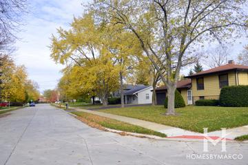 Lone Tree subdivision in Northbrook, IL