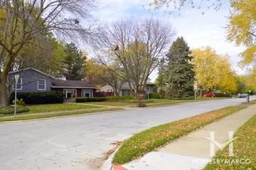 Lone Tree subdivision in Northbrook, IL