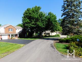 Mayfield Estates subdivision in Park Ridge, IL