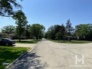 Timber Trails subdivision in Northbrook, IL