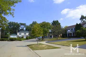 Williamsburg subdivision in Northbrook, IL