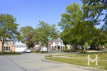 Photos of Williamsburg subdivision in Northbrook, IL