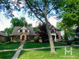 Old Park Ridge subdivision in Park Ridge, IL