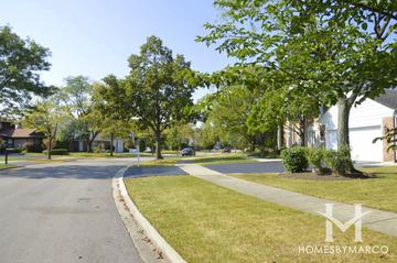 Wood Oaks Glen subdivision in Northbrook, IL