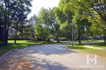 Woodmere subdivision in Northbrook, IL