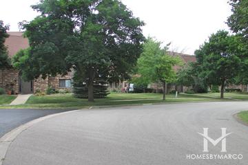 Trevor Court subdivision in Crystal Lake, IL