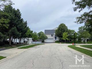 Arbor Club subdivision in Elk Grove Village, IL
