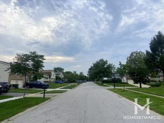 East Hamptons subdivision in Elk Grove Village, IL