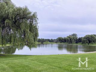 Elk Grove Estates subdivision in Elk Grove Village, IL