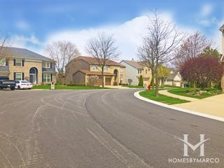 Parkview subdivision in Elk Grove Village, IL