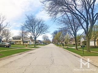 Parkview subdivision in Elk Grove Village, IL