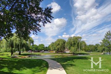 Village on the Lake building in Elk Grove Village, IL
