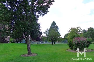 Village on the Lake building in Elk Grove Village, IL