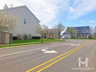 Whytecliffe subdivision in Elk Grove Village, IL