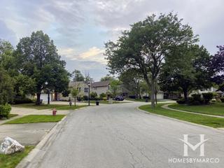 Winston Grove subdivision in Elk Grove Village, IL