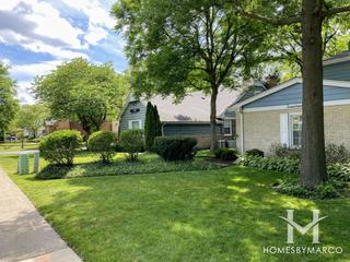 Tall Trees subdivision in Glenview, IL