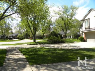 Willows subdivision in Glenview, IL