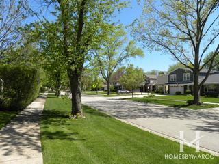 Willows subdivision in Glenview, IL