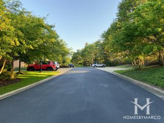 Meadowlake subdivision in Northfield, IL