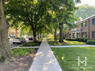 Elm Tree Village subdivision in Evanston, IL