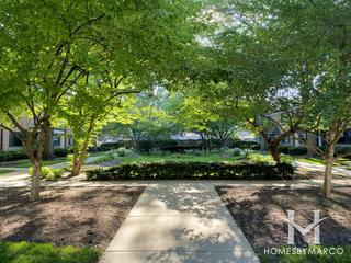 Elm Tree Village subdivision in Evanston, IL