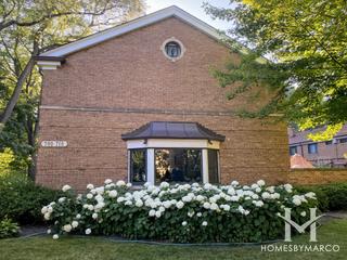 Elm Tree Village subdivision in Evanston, IL