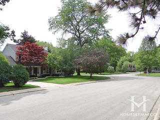 New England Village subdivision in Evanston, IL