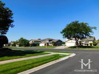 Park Hill subdivision in Orland Park, IL